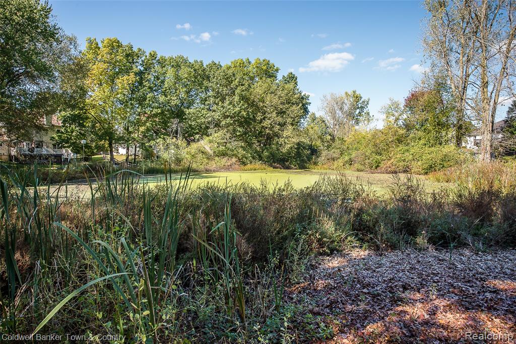 9305 Appleview Court, Brighton, MI 48116 — Photo 49