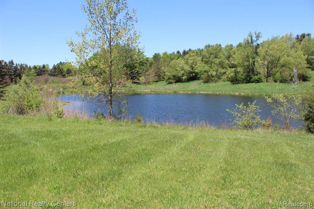 9720 QUEENS Drive, Manchester, MI 48158 — Photo 33