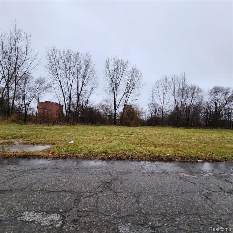 2661 HENDRICKS Street, Detroit, MI 48207 — Photo 3