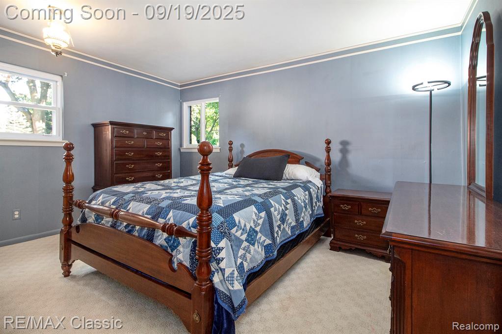 42245 Hammill Lane, Plymouth, MI 48170 — Photo 20