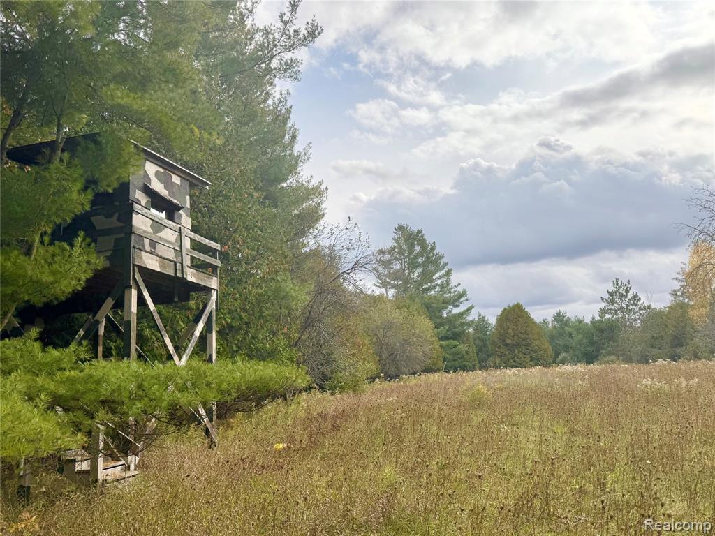 2446 Spayde Road, Charlevoix, MI 49720 — Photo 42