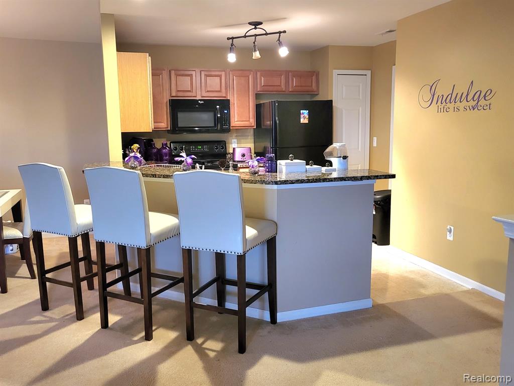 44275 PRINCETON Drive, Clinton Twp, MI 48038 — Photo 11