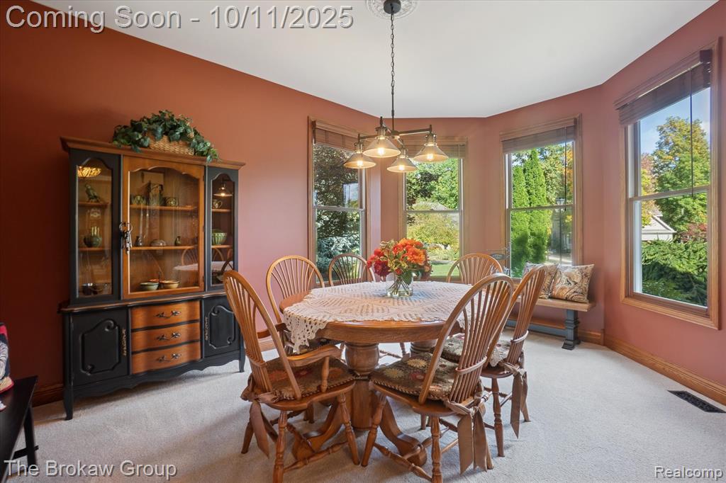 10216 Mill Pointe Drive, Goodrich Vlg, MI — Photo 29