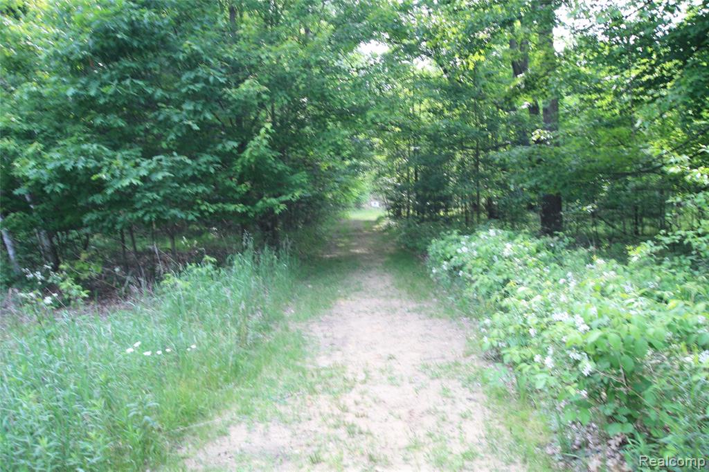 12850 East Road, Burt, MI 48417 — Photo 10