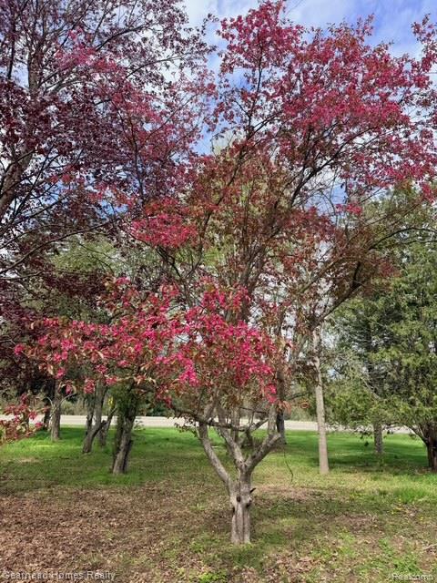 VL Sashabaw Road, Clarkston, MI 48348 — Photo 14