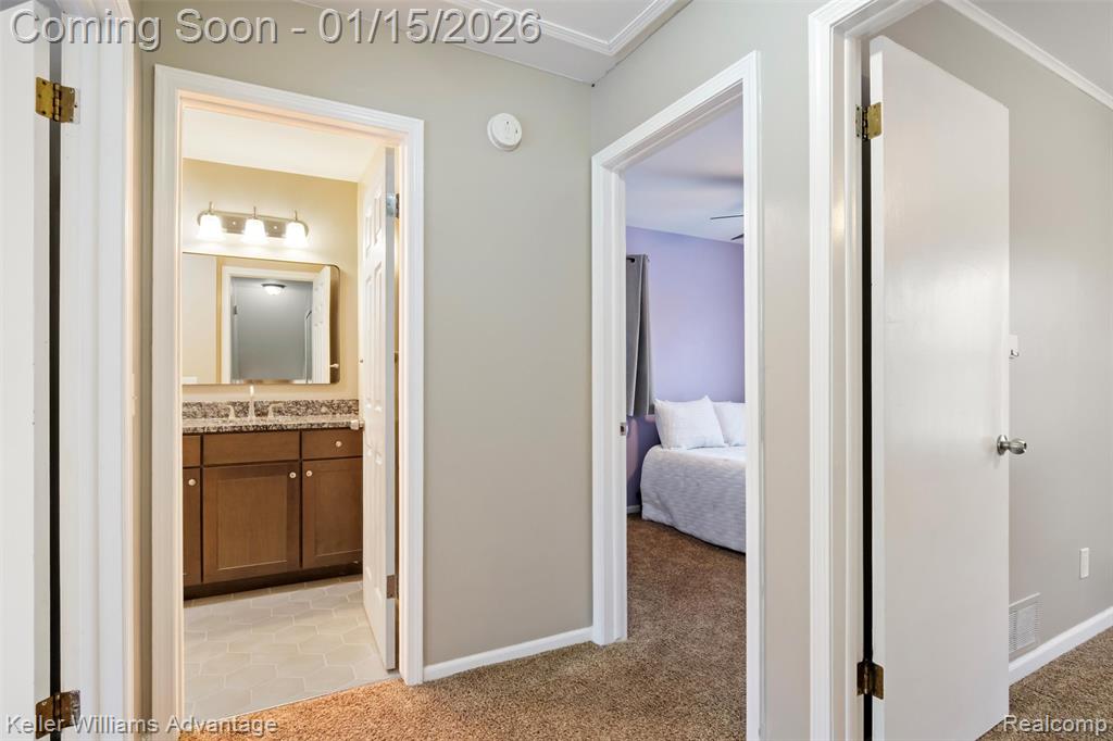 4101 Lake Knolls Drive, Oxford, MI 48371 — Photo 13