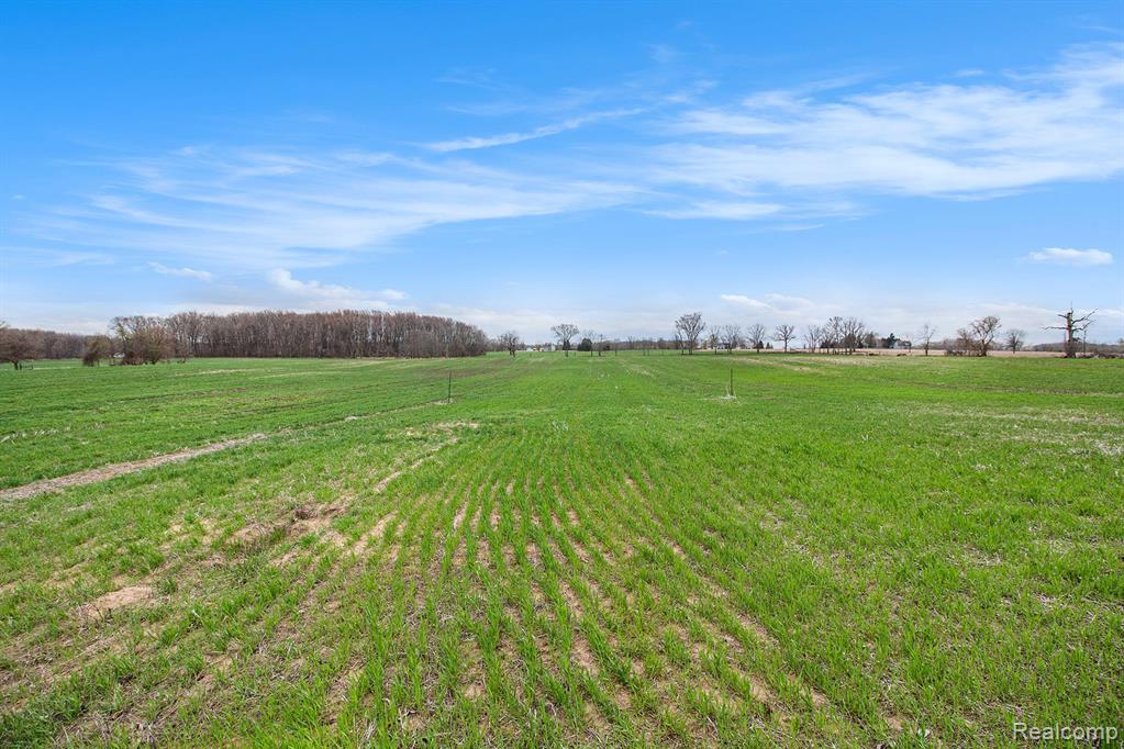 VL Parcel 2 Mohrle Road, Fowlerville, MI 48836 — Photo 18