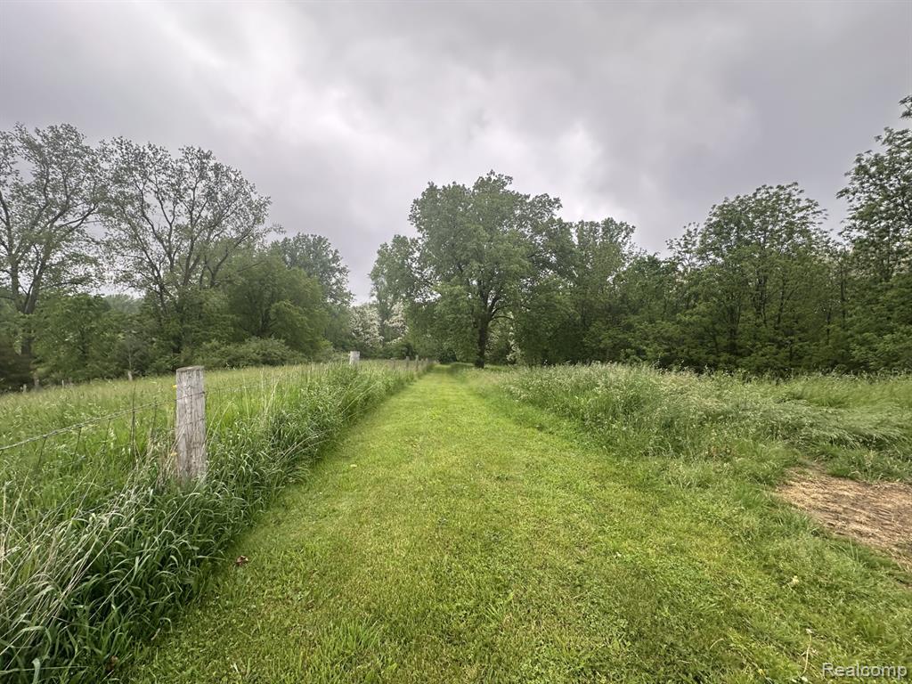 VL Mertz Road, Mayville Vlg, MI 48744 — Photo 3