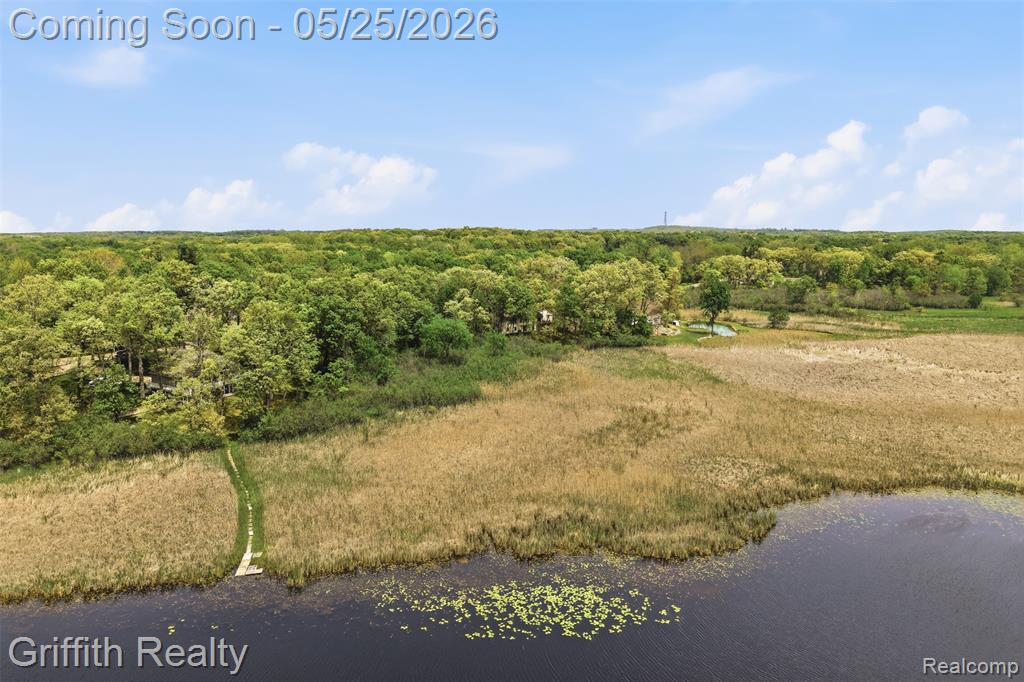 10232 Spencer Road, Brighton, MI 48114 — Photo 52