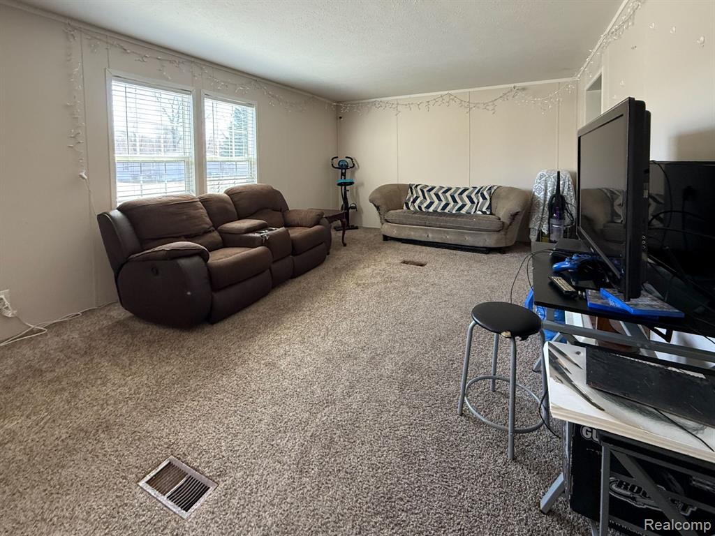 389 Rustic Lane N, Belleville, MI 48111 — Photo 9