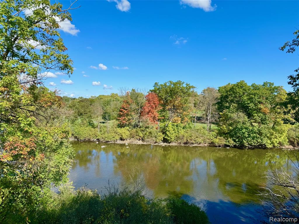7372 River Road, Flushing, MI 48433 — Photo 29