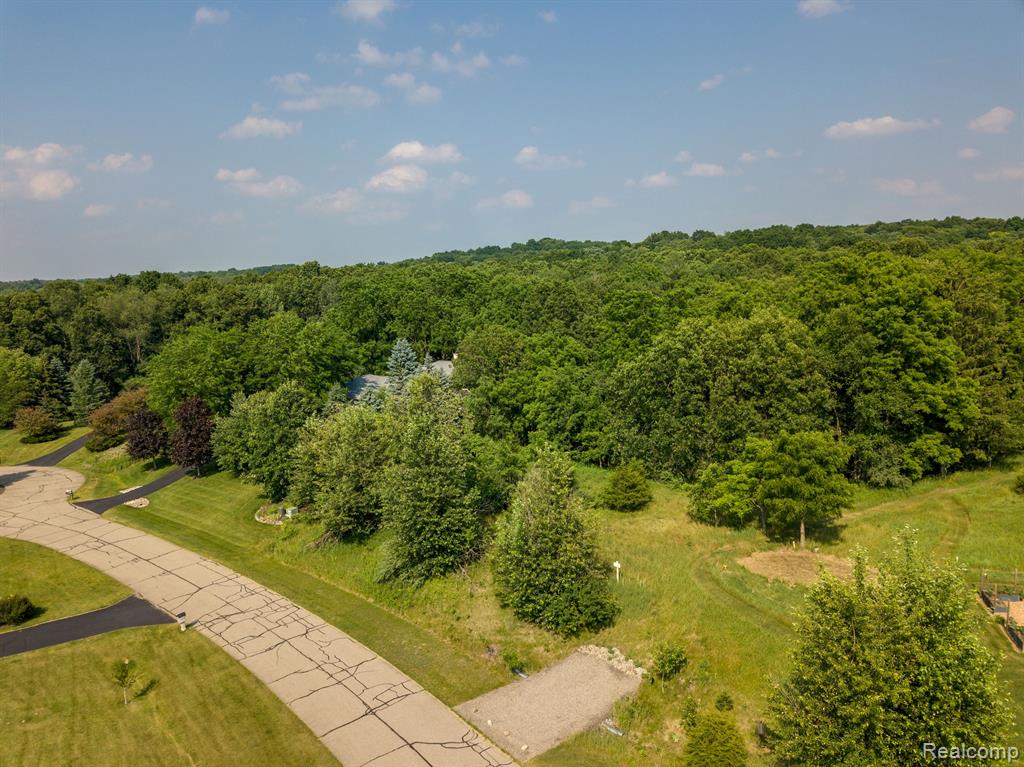 8045 TRAIL Ridge, Dexter, MI 48130 — Photo 8