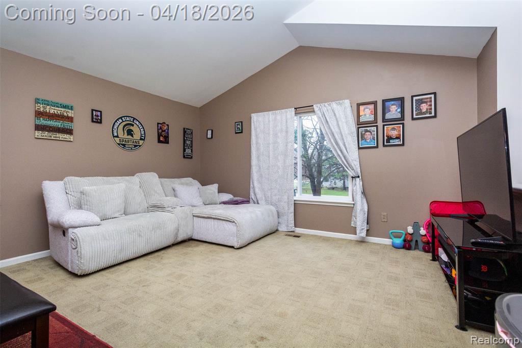 11583 Broadview Street, Hartland, MI 48353 — Photo 7