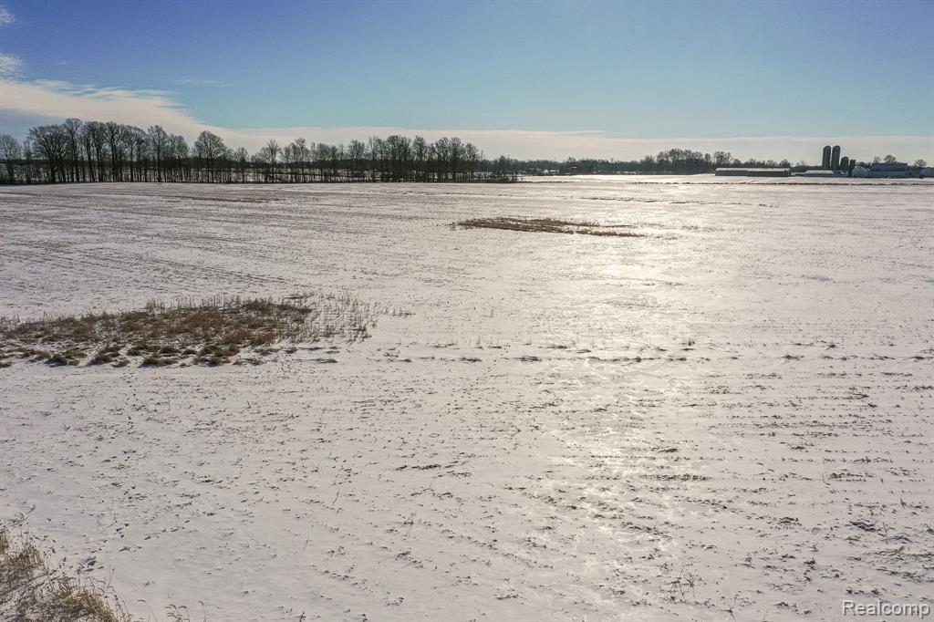 Lot 6 Vacant Land Dayton Road, Richmond, MI 48062 — Photo 3