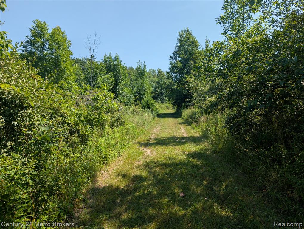 10190 Oak Road, Otisville, MI 48463 — Photo 22