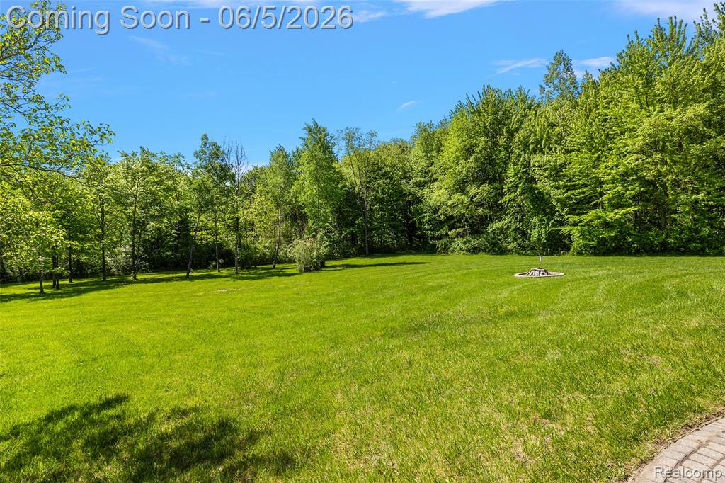 62502 Wayfaring Road, Ray, MI — Photo 8