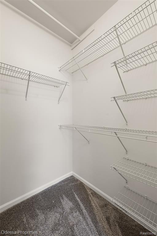 43103 Strand Drive, Sterling Heights, MI 48313 — Photo 17