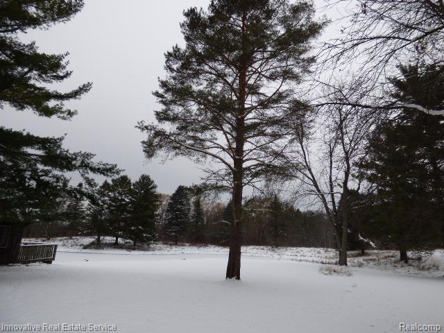 3820 Havens Road, Dryden, MI 48428 — Photo 25