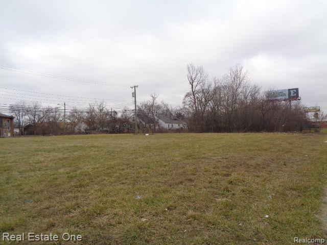 18110 WEAVER Street, Detroit, MI 48228 — Photo 3