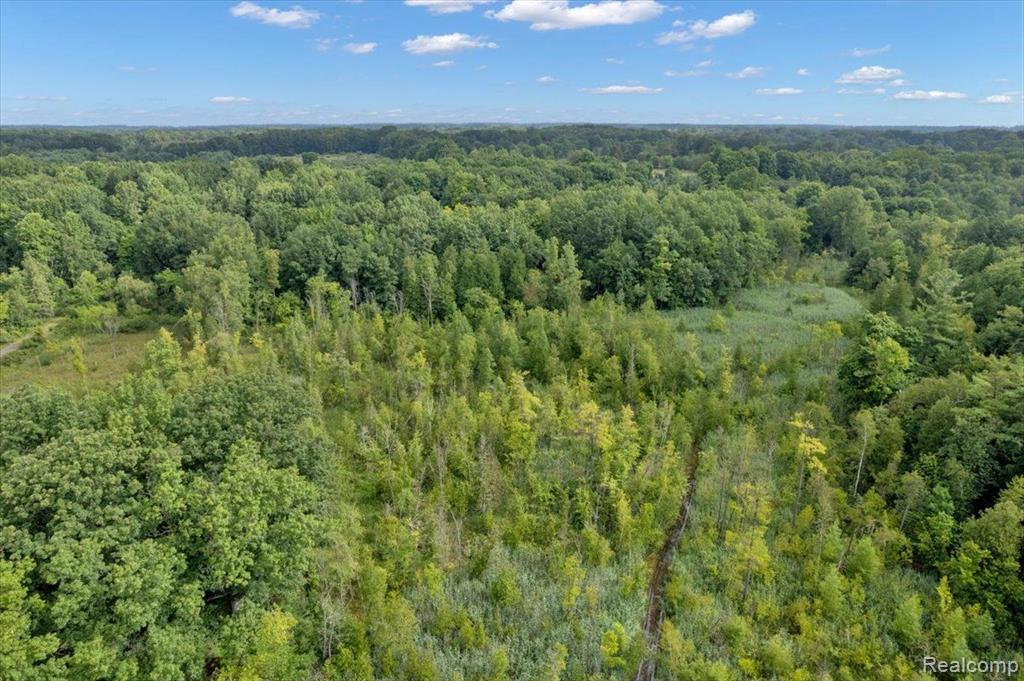 5010 BELLE RIVER Road, Attica, MI 48412 — Photo 38