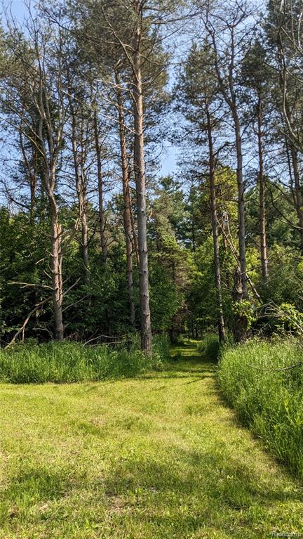 9753 W Coon Lake Road, Webberville, MI 48892 — Photo 63