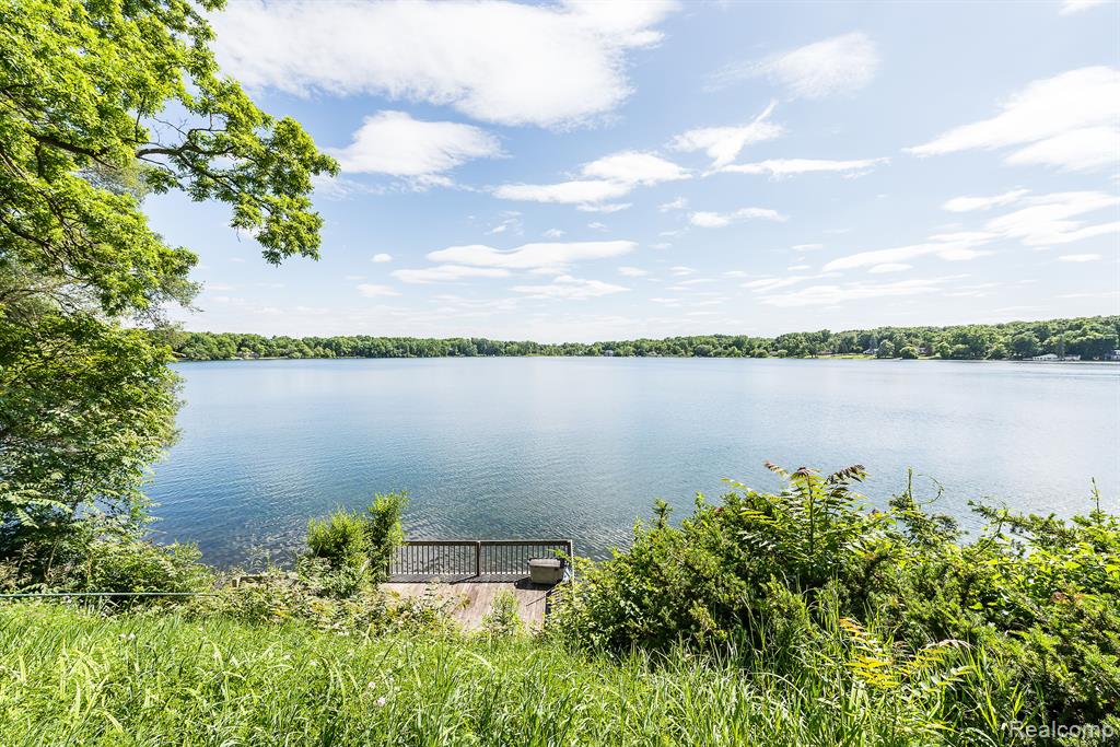 7636 THARP Drive, Whitmore Lake, MI 48189 — Photo 10