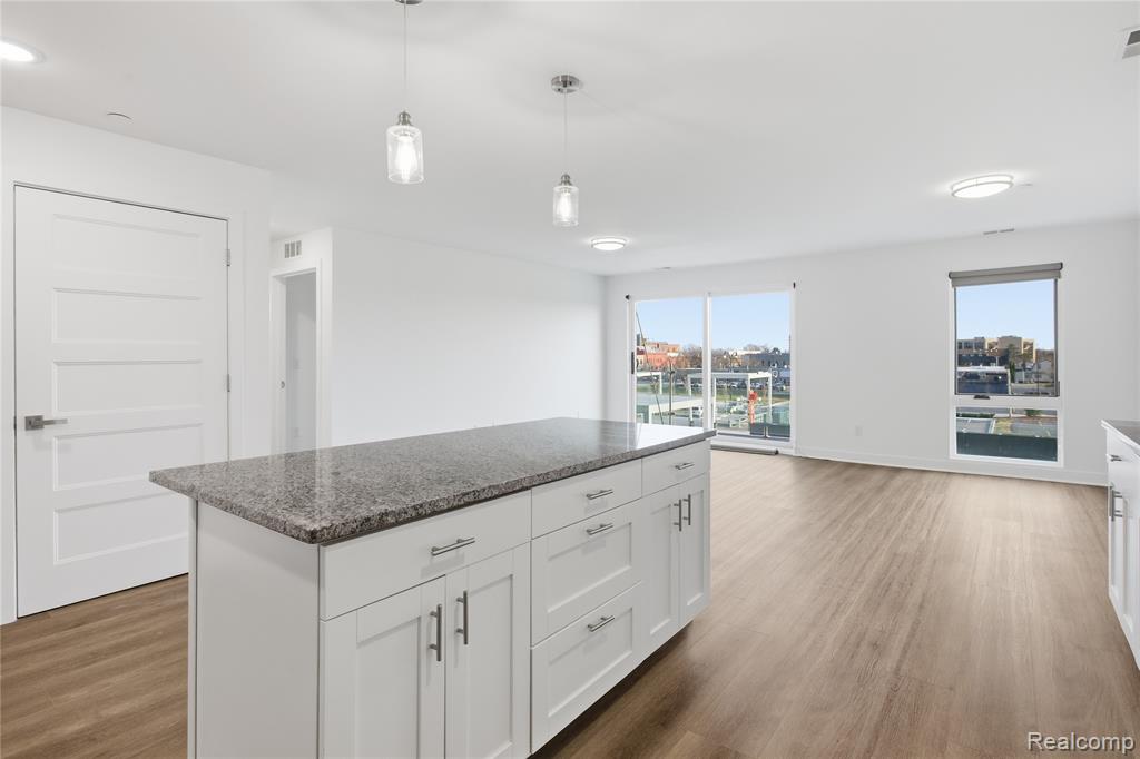 166 Oak Street, 309, Wyandotte, MI 48192 — Photo 10