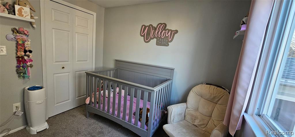 22308 Larch Street, Woodhaven, MI 48183 — Photo 20