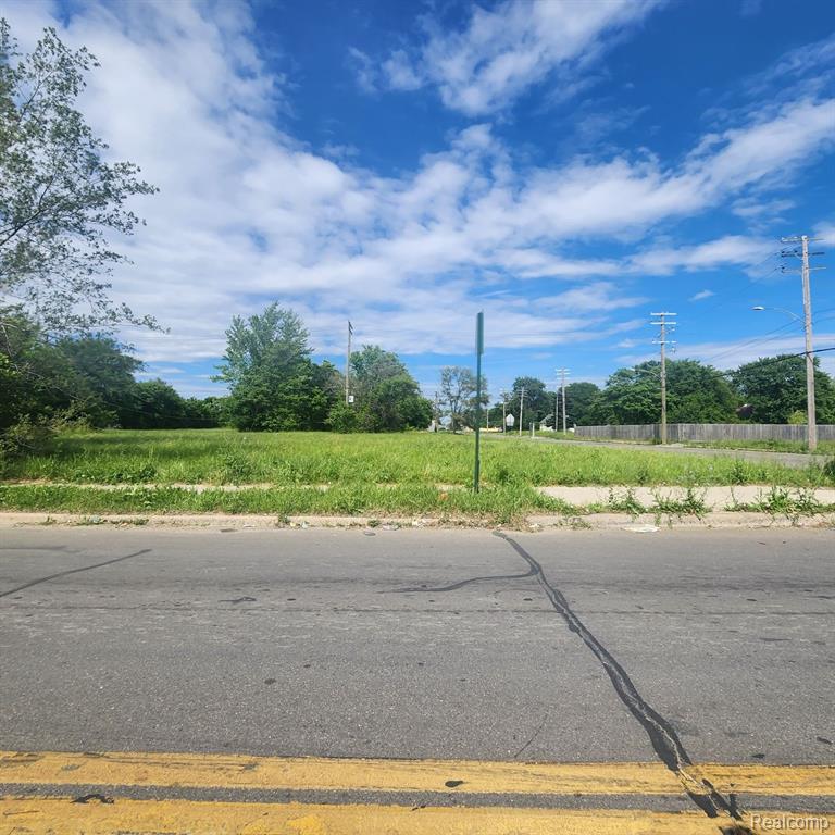 4400 JUNCTION Street, Detroit, MI 48210 — Photo 5