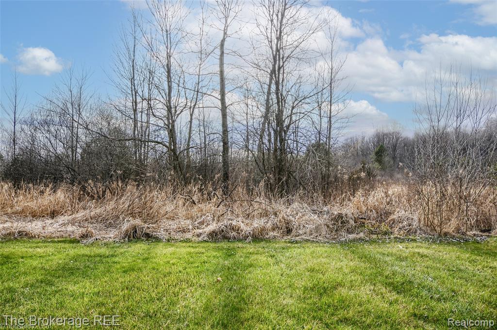 11247 Irish Road, Otisville, MI 48463 — Photo 5