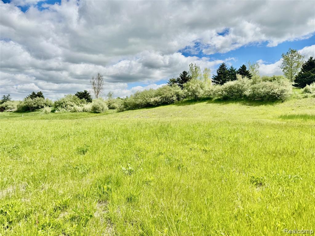 1058 INVITATIONAL Drive, Metamora, MI, 48455