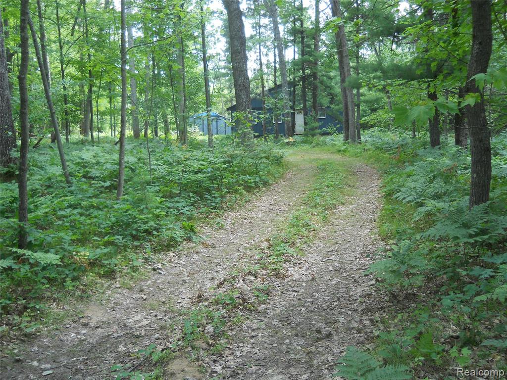 1185 E Hughes Lake Road, Rose City, MI 48654 — Photo 20