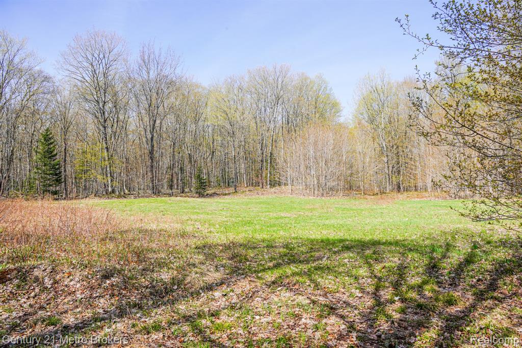 21821 Krenkel, Newberry, MI 49868 — Photo 16