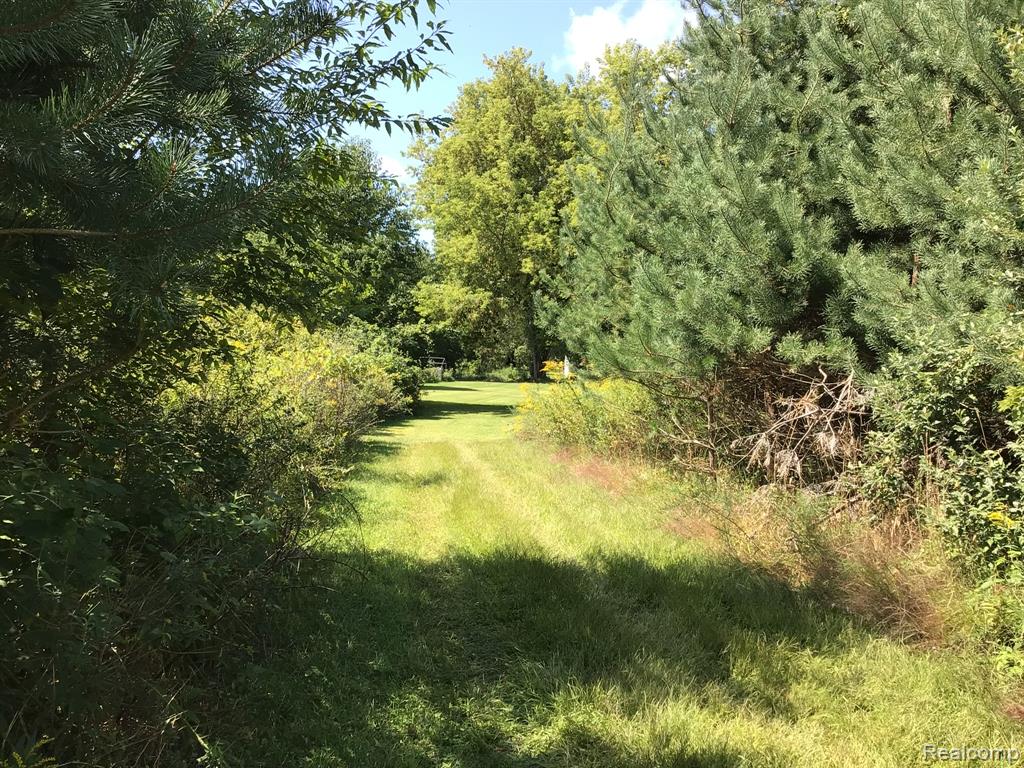 1581 S Force Road, Attica, MI 48412 — Photo 84