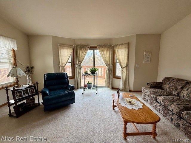 9193 EMILY Drive, Davison, MI 48423 — Photo 14