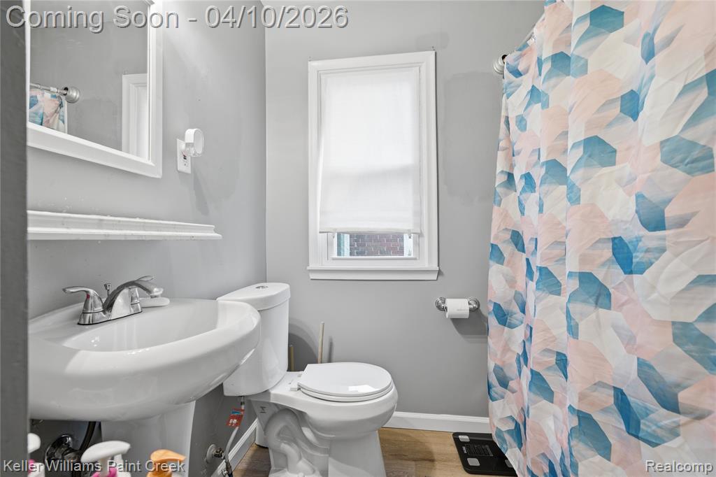 18718 Garfield Street, Redford, MI 48240 — Photo 19