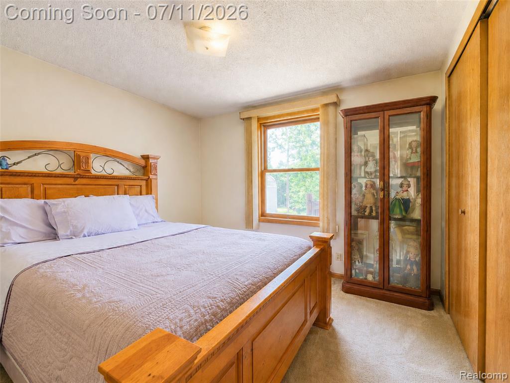 13129 Evelyn Court, Belleville, MI 48111 — Photo 20
