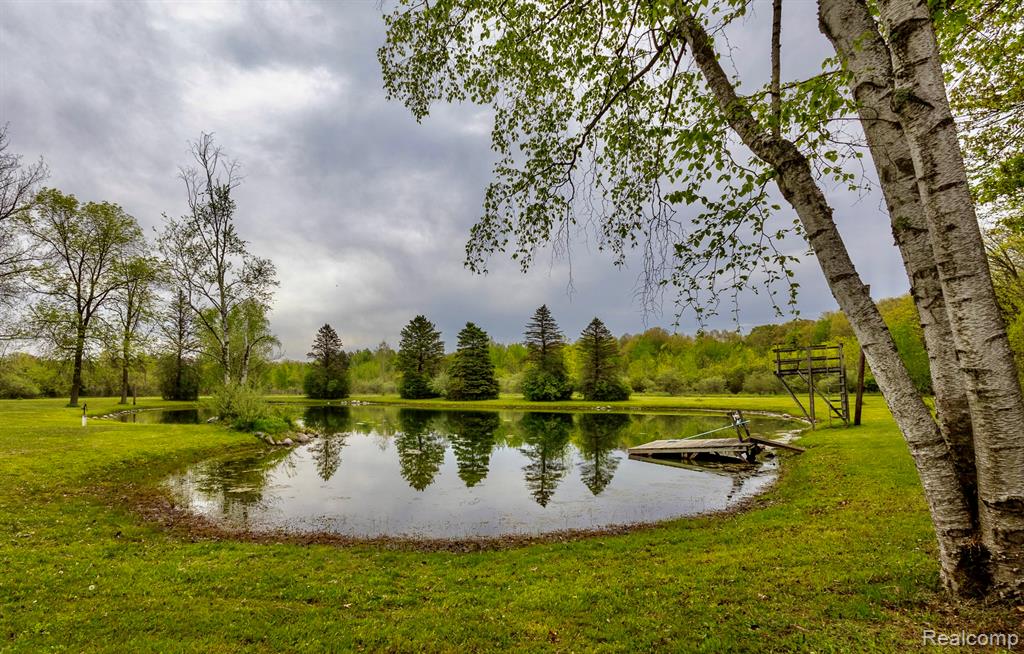8197 Irish Road, Millington, MI 48746 — Photo 4
