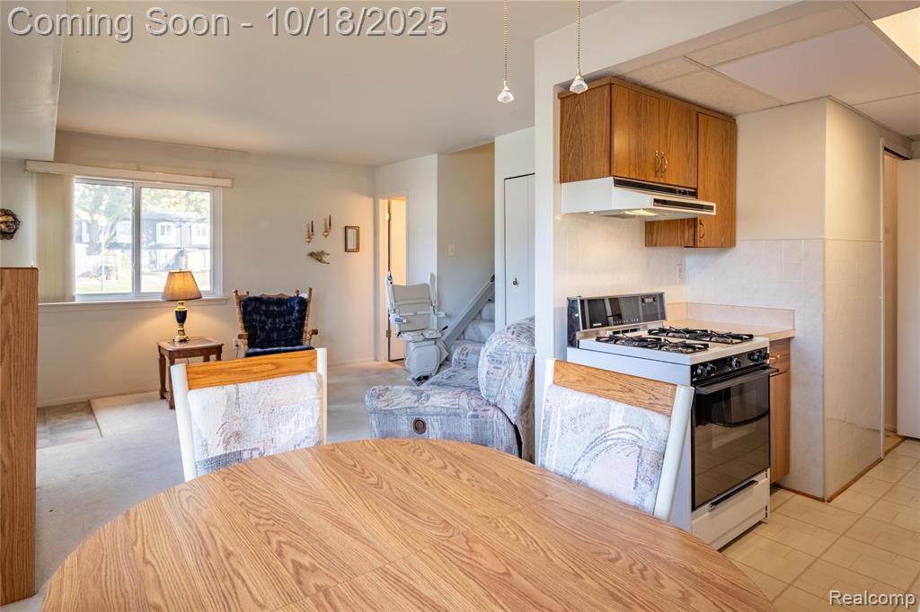 41134 N Woodbury Green Drive, Van Buren, MI 48111 — Photo 5