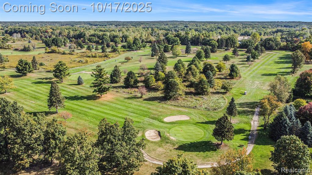 199 E Barron Road, Howell, MI 48855 — Photo 43