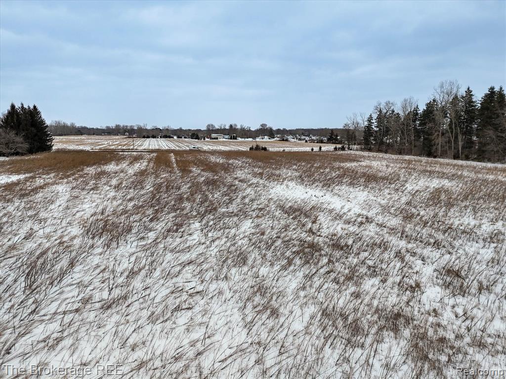 S Gera Rd, Birch Run, MI 48415 — Photo 16
