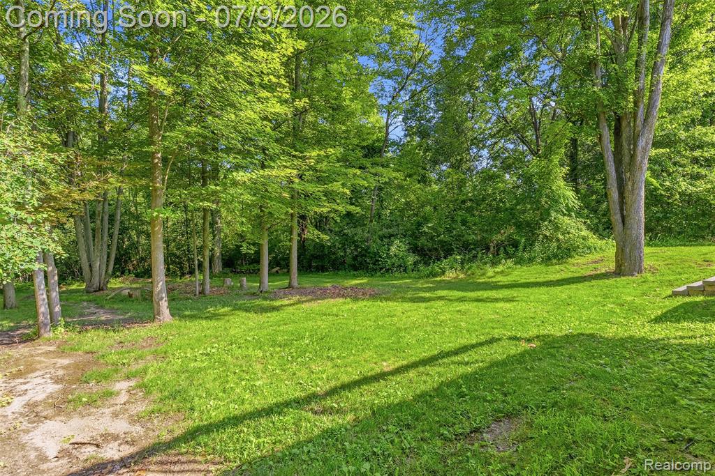 9285 Pine Walk Pass, Linden, MI 48451 — Photo 25