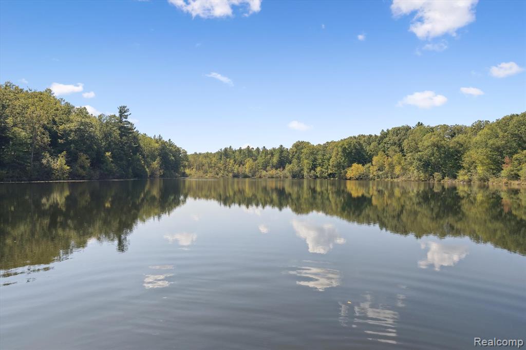 267 W Barnes Lake Road, Columbiaville, MI 48421 — Photo 35