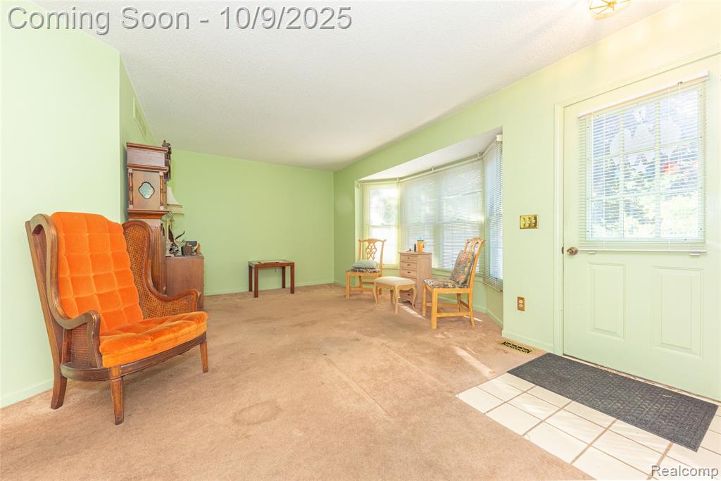 42265 S Mill Race Court, Plymouth, MI 48170 — Photo 7