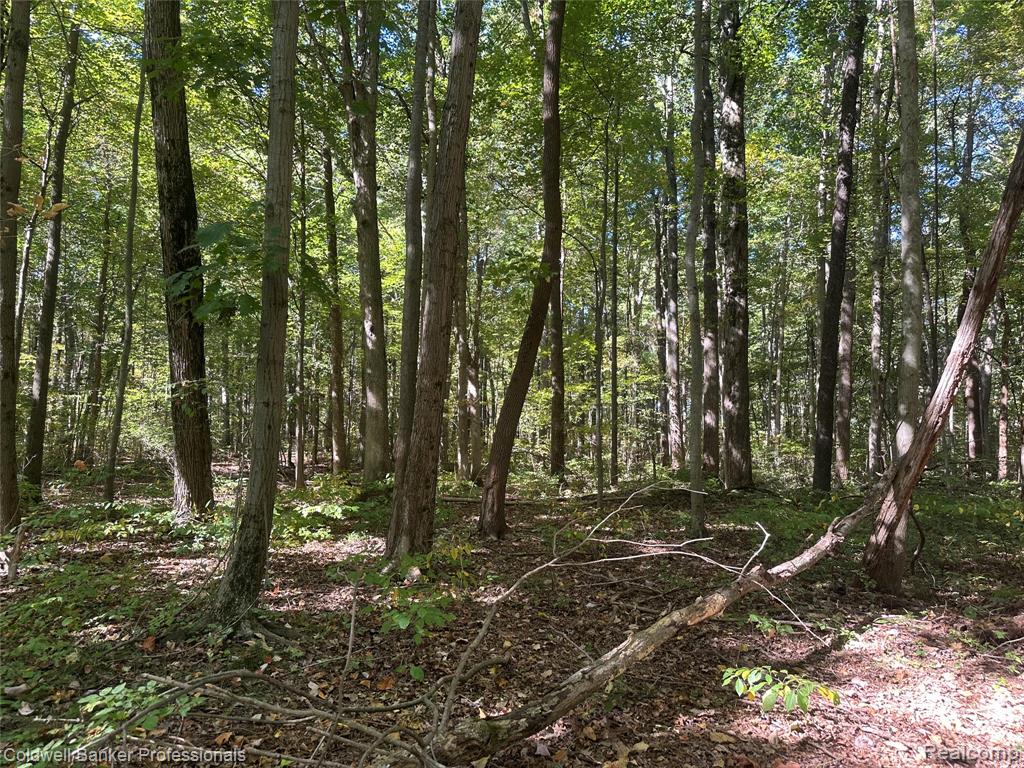 14235 WANTY Road, Milan, MI 48160 — Photo 10