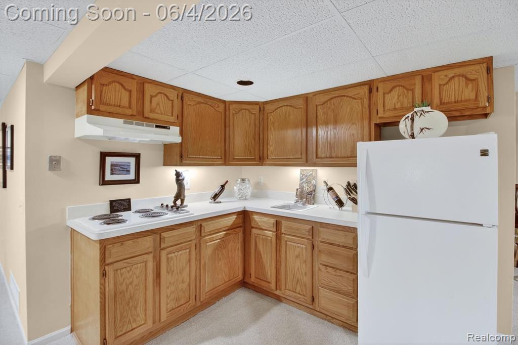 39852 Glenview Court, Northville, MI 48168 — Photo 49