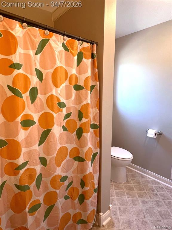 4740 S Francis Road, St. Johns, MI 48879 — Photo 16