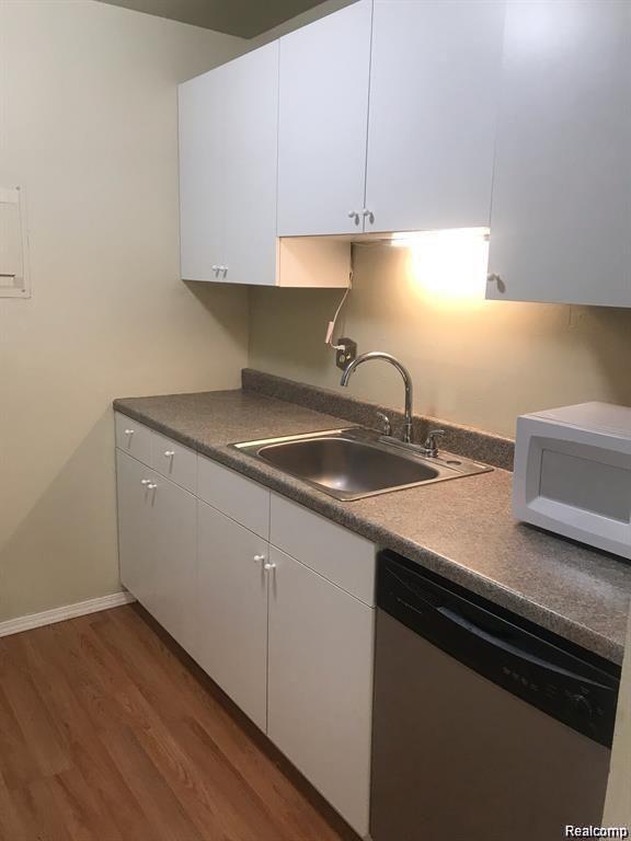 1315 S MAPLE Road, Ann Arbor, MI 48103 — Photo 5