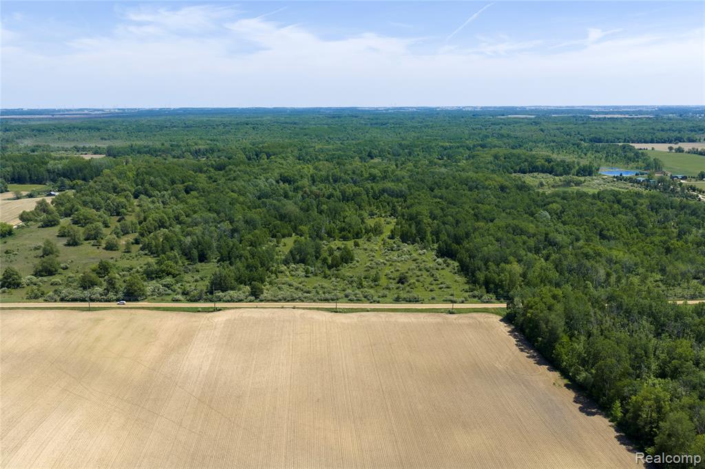 Parcel B Freiburger Rd, Snover, MI 48472 — Photo 4