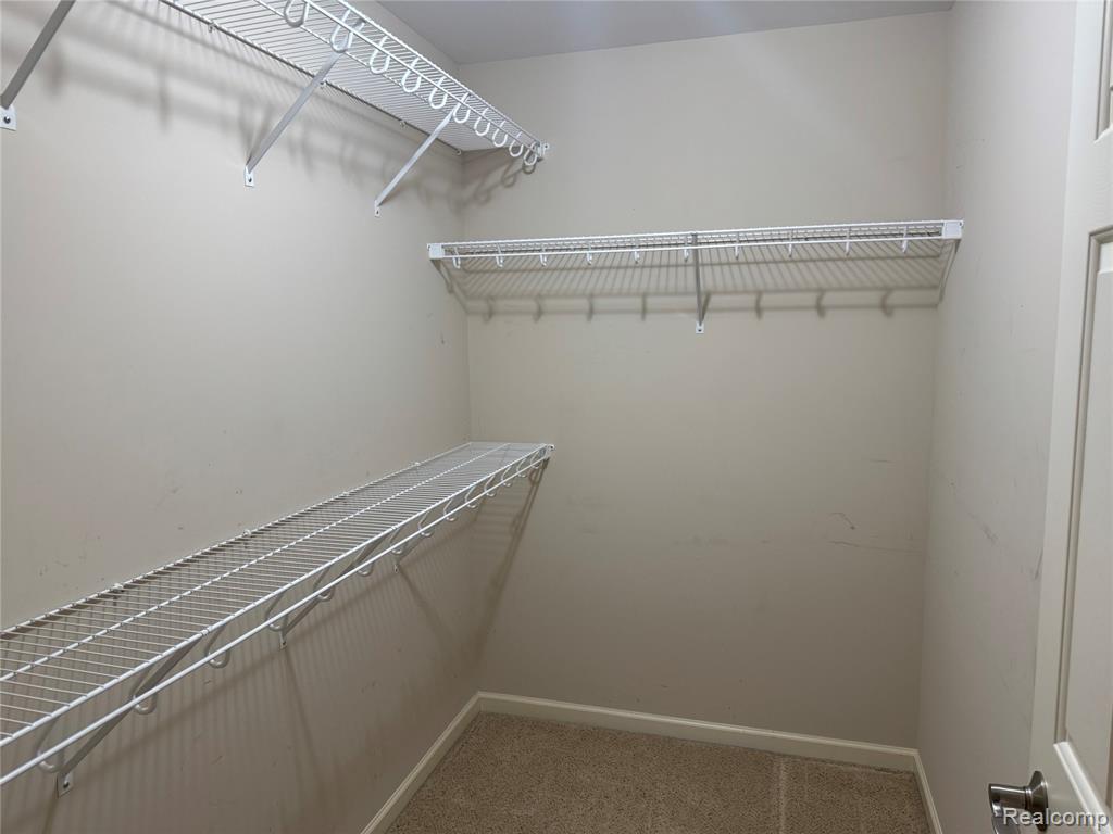 3198 Leeomi Drive, Britton, MI 49229 — Photo 24